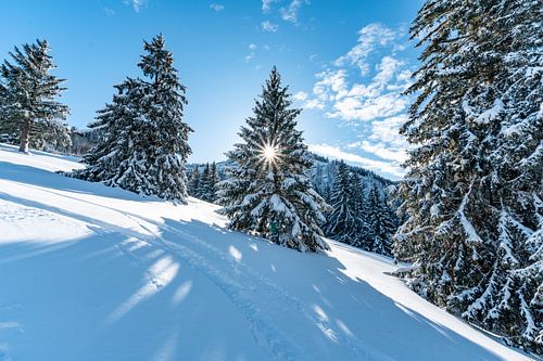 Zon, winter, sneeuw op de Hochgrat