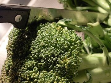 Moord op een broccoli van Flora de Vries