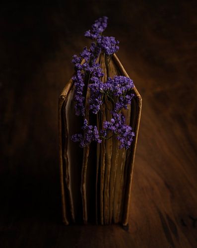 Een boekje vol natuur