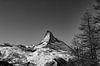 De Matterhorn op een heldere winterdag vlakbij Zermatt, in Wallis, Zwitserland van Arthur Puls Photography thumbnail