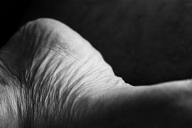 Puur, mijn huid by Catherine Blancquaert