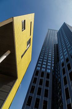 Architecture Rotterdam 1