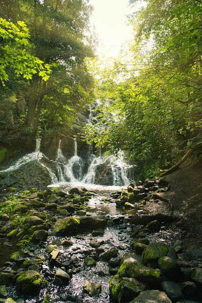 Kleine waterval in het bos met mos op stenen van Martin Köbsch