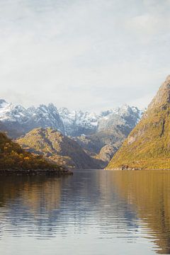 Magische bergen in de Lofoten, Noorwegen van Jules Captures - Photography by Julia Vermeulen