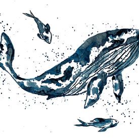 Walvis in blauw van Sebastian Grafmann