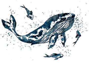 Walvis in blauw van Sebastian Grafmann