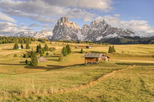 L'automne sur l'Alpe de Siusi sur Michael Valjak