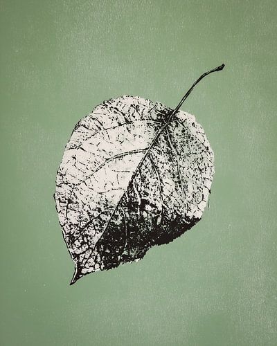Blattstempel in Schwarz - Monochrome Natur Kunst