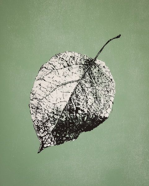 Blattstempel in Schwarz - Monochrome Natur Kunst von Thea