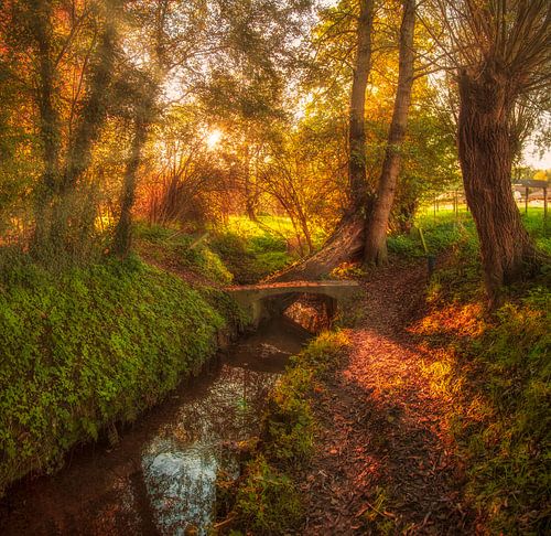 Herfstkleuren in Simpelveld