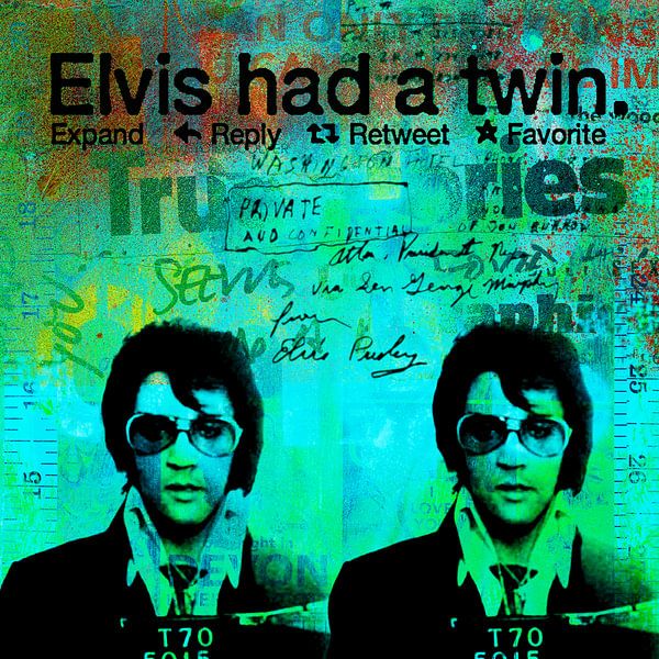 Elvis Had A Twin by Feike Kloostra