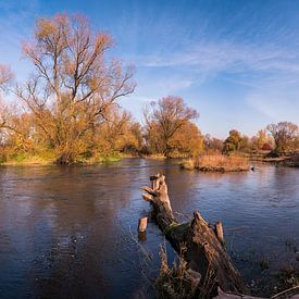 Panoramic view of the Main on an autumn day by Raphotography