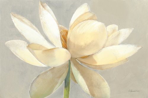 Licht entfalten, Albena Hristova