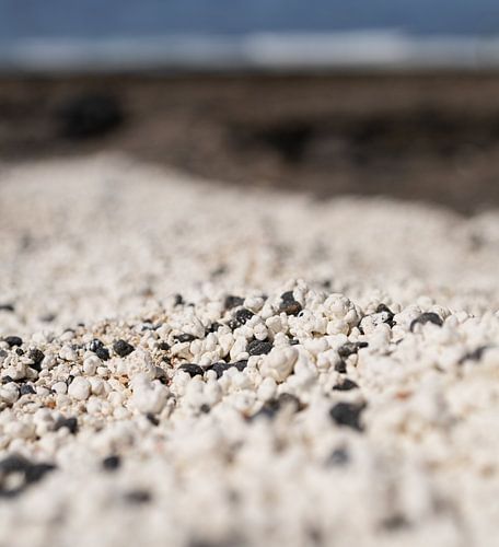 Popcorn Beach op Fuerteventura