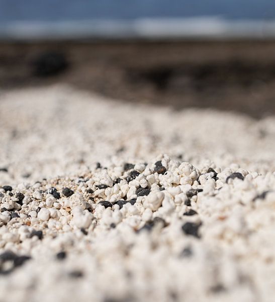 Plage de Popcorn à Fuerteventura par Marloes ten Brinke