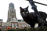 Chat avec la tour du Dom, Utrecht par Robert van Willigenburg Aperçu