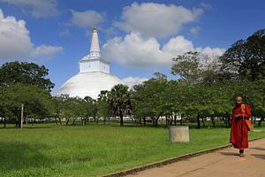Moine devant un stupa au Sri Lanka