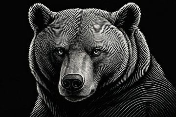 Black and white bear close-up by Imperial Art House
