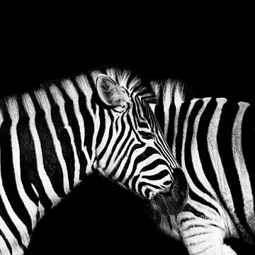 Stripes within stripes by Ken Kühlbrandt