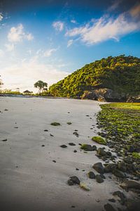 Sumbawa Landschaft von Andy Troy