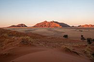 Wüste in Namibia von Joelle Molenaar Miniaturansicht