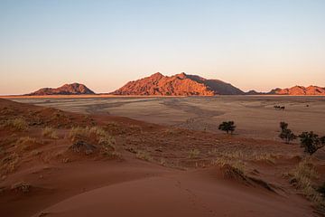 Woestijn in Namibië van Joelle Molenaar