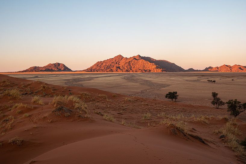 Wüste in Namibia von Joelle Molenaar