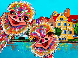 Autruches joyeuses à Willemstad, Curaçao
