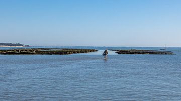 Le Port Ostrécole du Bonhomme