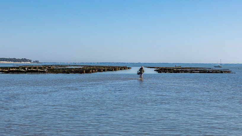 Le Port Ostrécole du Bonhomme van Easycopters