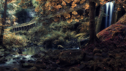 Photographie panoramique