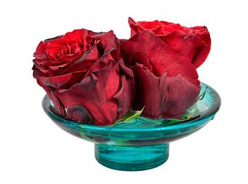 Rode rozenbloesems in een glazen kom op een witte achtergrond