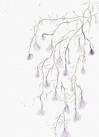 BLOOMING CASCADE by AnkieArt