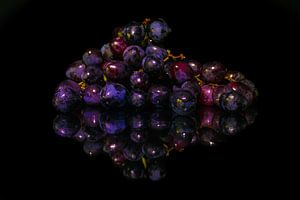 Raisins bleus sur Lisa Antoinette Photography