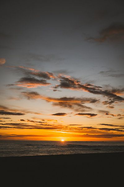 Kaikoura&#039;s Dawn: A Morning of Pure Beauty by Ken Tempelers