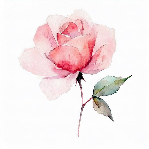 rose by Evelien Prins