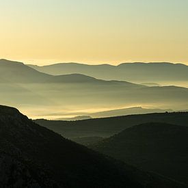 Lumière du matin sur Jonathan Krijgsman