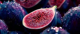 Frische Feigen mit Tauperlen – Nahaufnahme von Poster Art Shop