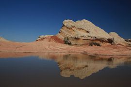 White Pocket, Vermilion Cliffs National Monument, Arizona by Frank Fichtmüller