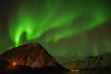 Noorderlicht Lofoten van Hoven Fotografie