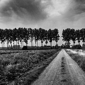 On the road by Geert Van Baelen