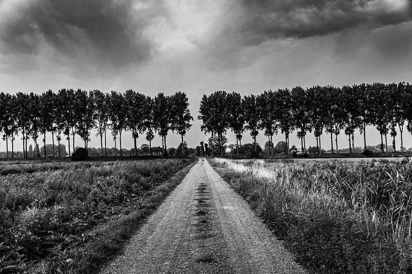 On the road by Geert Van Baelen