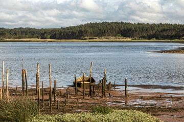 Zicht over het uitgestrekte water van de Lagune van Obidos, Portugal van Marjolein Zijlstra