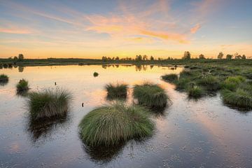 Evening in the High Fens in Belgium by Michael Valjak
