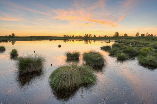 Abends im Hohen Venn in Belgien