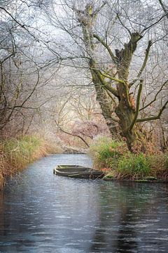 Verlassenes Boot im Winter von Thijs Friederich