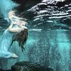 Unterwasser-Traum von Filip Staes