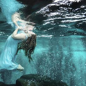 Underwater Dream by Filip Staes