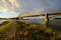 Waalbrücke bei Nijmegen von Merijn van der Vliet Miniaturansicht