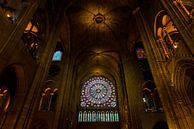 Notre-Dame Paris - 2 von Damien Franscoise Miniaturansicht